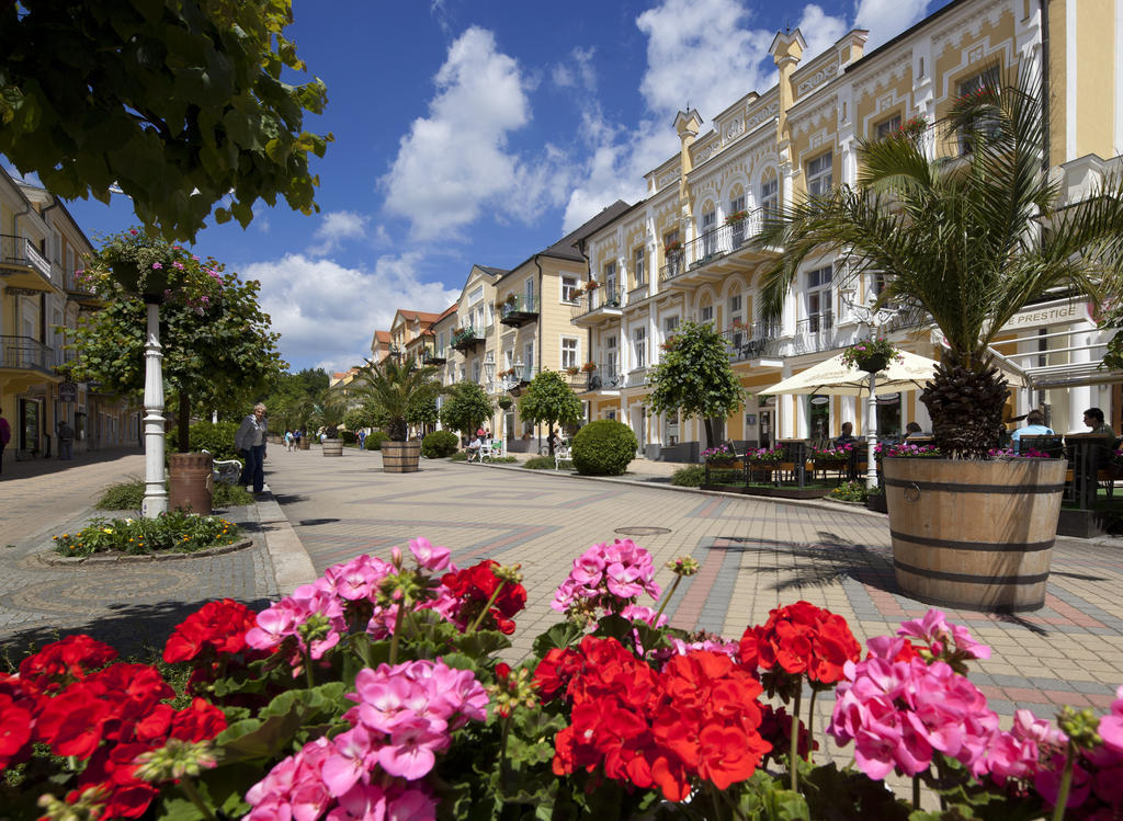 Dr. Adler Spa&Kurhotel Františkovy Lázně Exterior foto