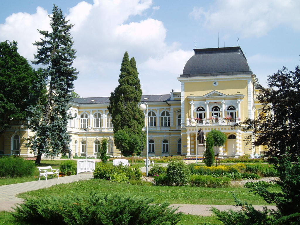 Dr. Adler Spa&Kurhotel Františkovy Lázně Exterior foto